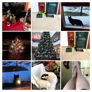 Meet your Posher, Carla